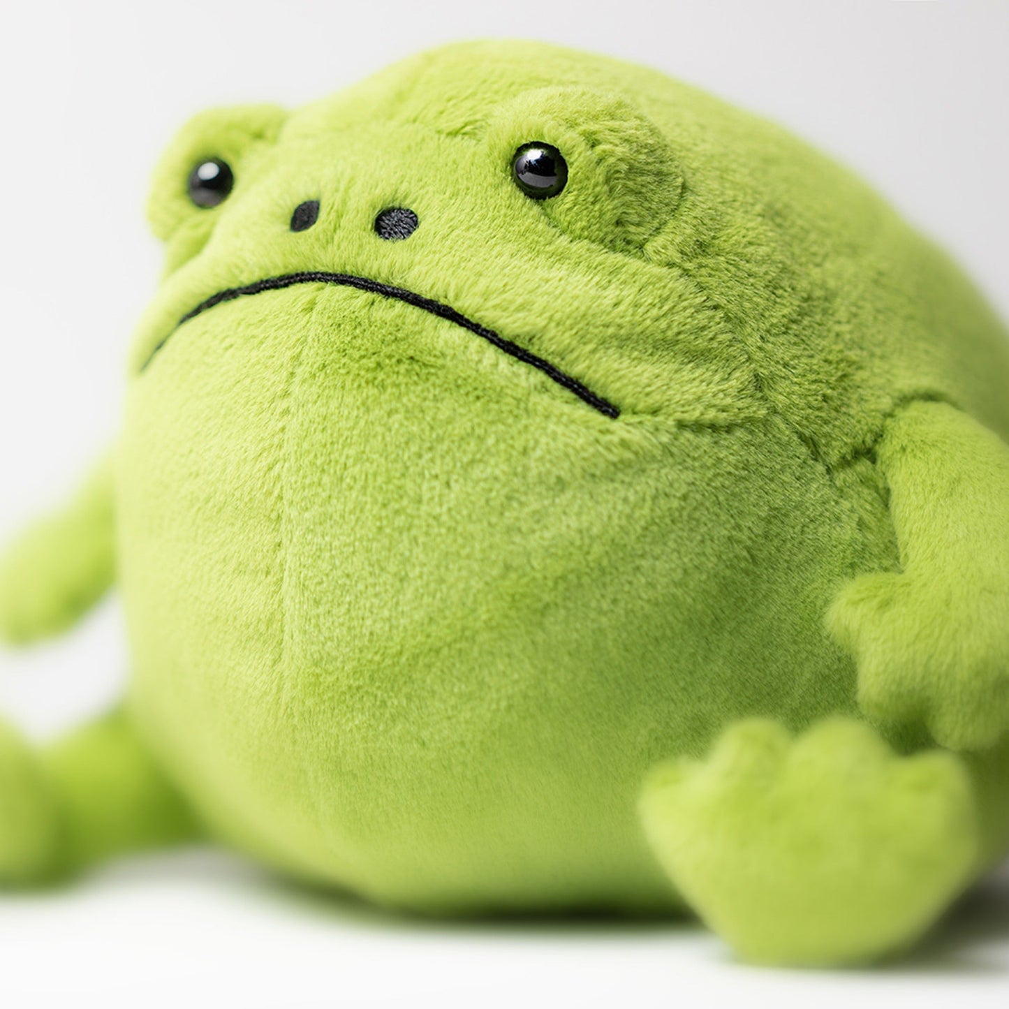 Ricky Rain Frog – The Lovable Little Grump 🐸