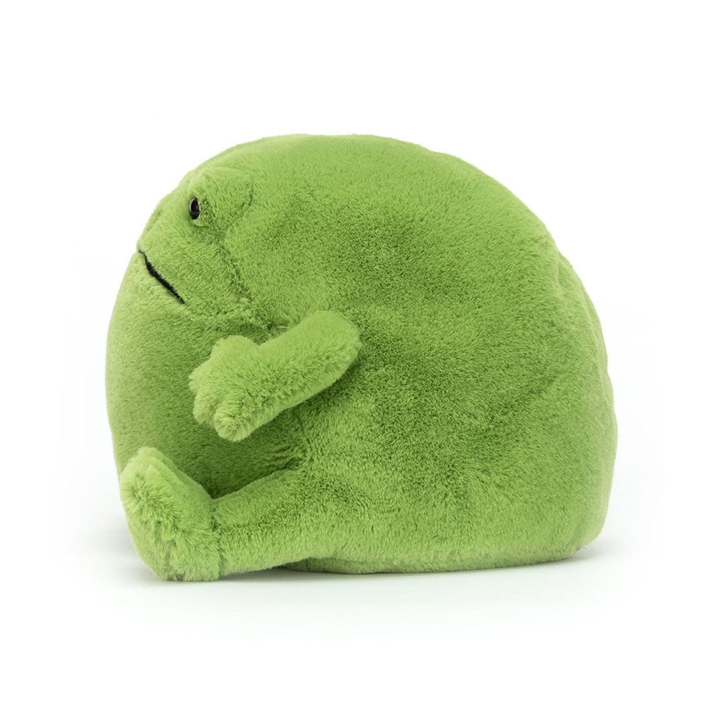 Ricky Rain Frog – The Lovable Little Grump 🐸